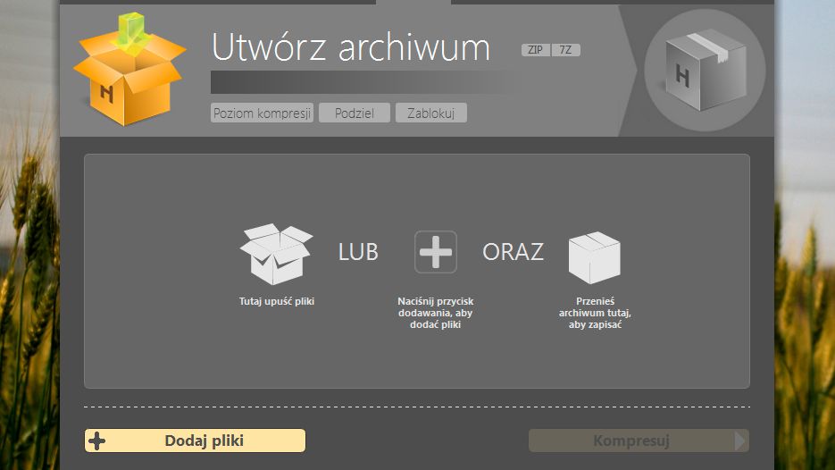 Obraz