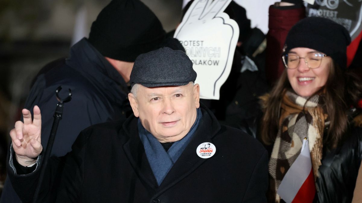 Jarosław Kaczyński na "Proteście Wolnych Polaków"