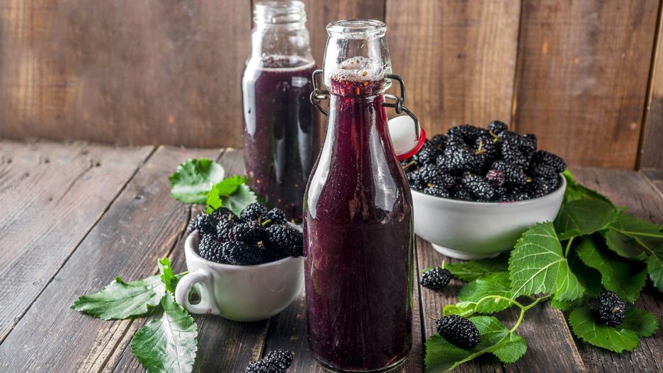 Nalewka z morwy czarnej w ochronie przed cukrzycą i miażdżycą oraz na wzmocnienie organizmu. Nie pomyl jej z morwą białą! Wypróbuj przepis