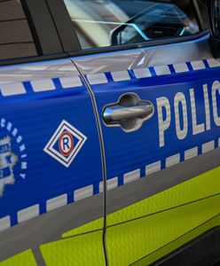 Gruzin, Turek i Algierczyk. Trzech cudzoziemców w rękach policji