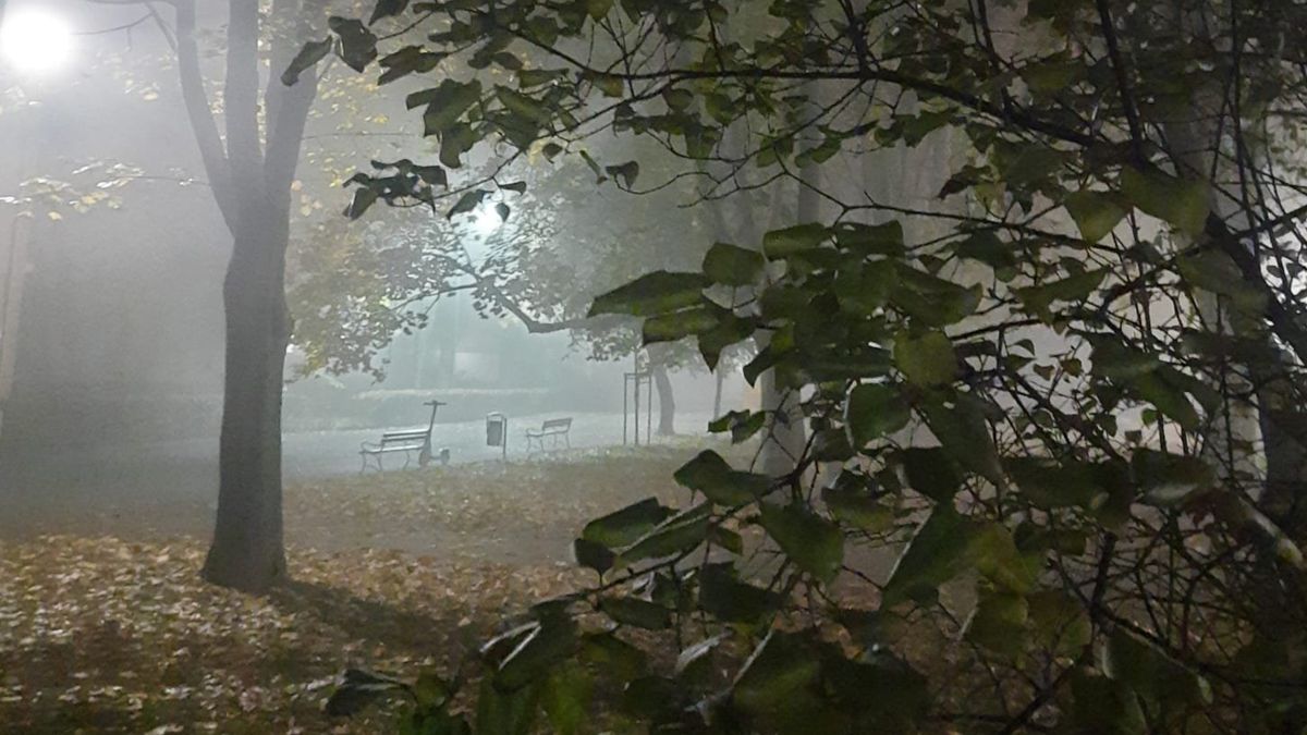 Pogoda na 25 października.