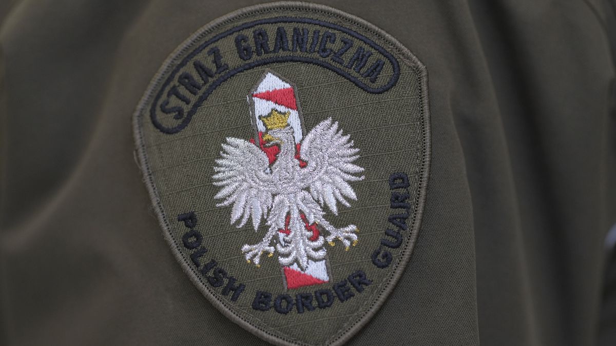Łamali przepisy, wrócili do kraju. Działania Straży Granicznej