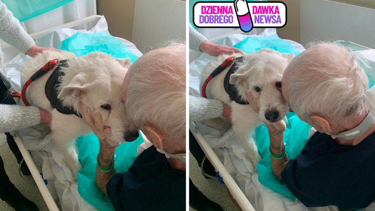 Legnicki szpital otwiera drzwi dla zwierząt