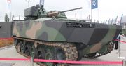 Piorun i Borsuk w Brazylii? Było spotkanie w sprawie polskich militariów