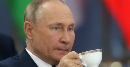 Szara strefa zaopatruje Rosjan w zachodni luksus. To taktyka Putina