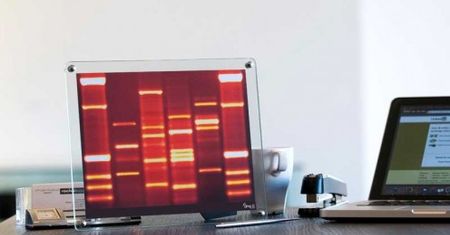 DNA Mini, portret bardzo osobisty