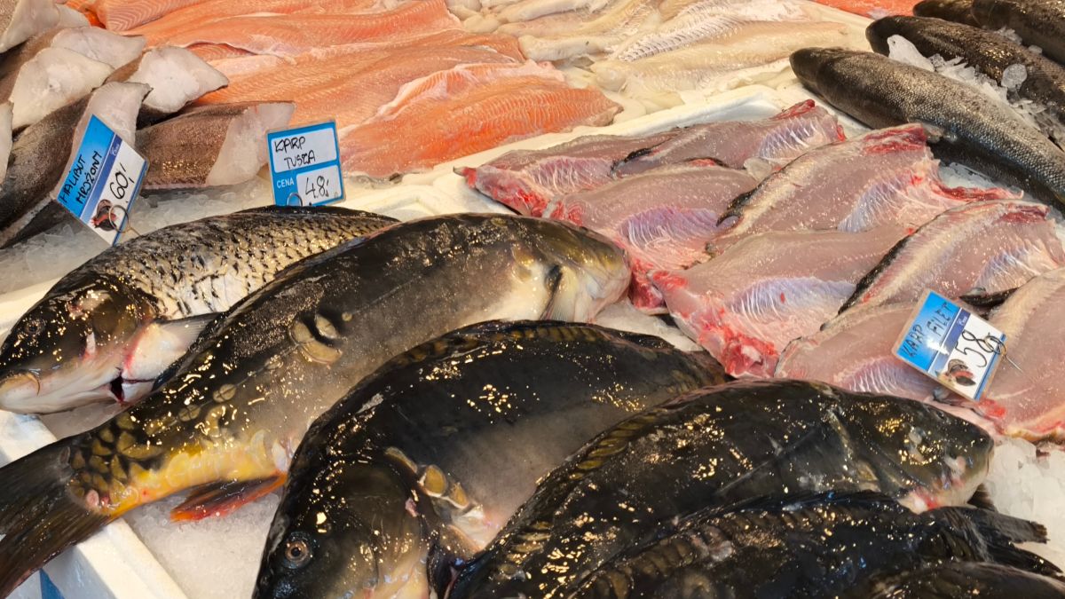 Sprawdziliśmy ceny na hali rybnej