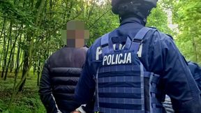 W lesie zaczęły gromadzić się auta. Od razu chwycili za telefon