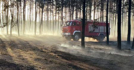 Potężny pożar w okolicy Biernatowa. Spłonęło 18 ha lasu