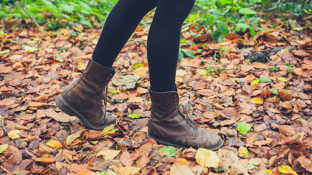 Kosztują 1000 euro za kg. Sezon się zaczyna, a Polacy po nich depczą, zamiast zbierać