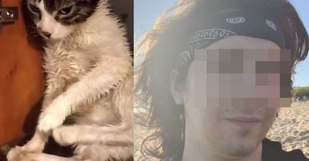 Sadysta, który znęcał się nad kotem, ODNALEZIONY! Sam zgłosił się na policję