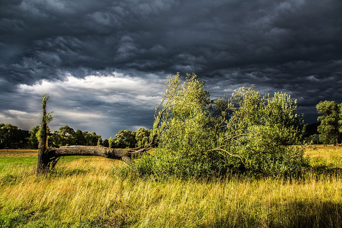 Sukces Pawła Kroka w Insight Astronomy Photographer of the Year 2015 12
