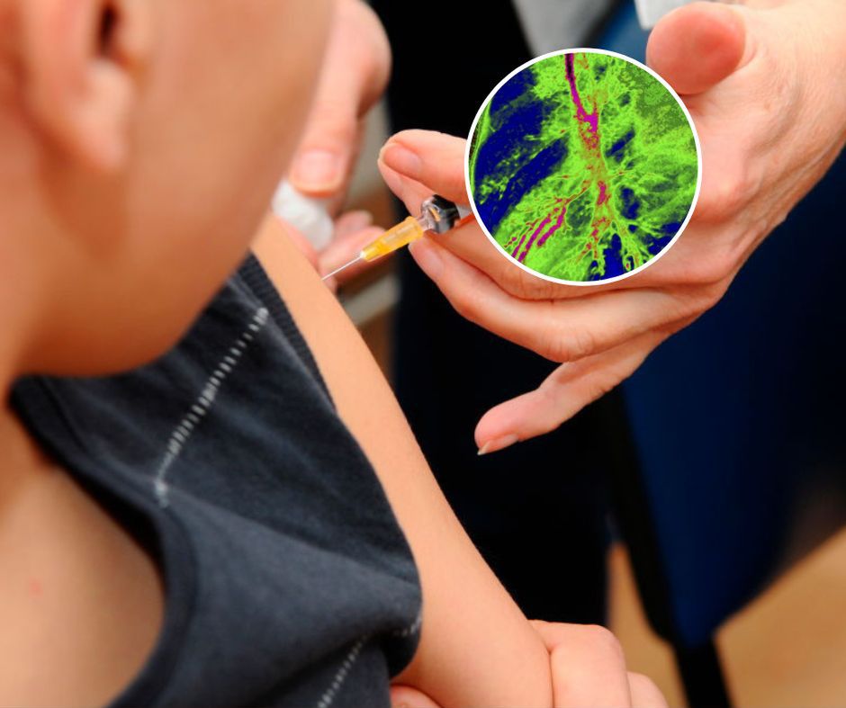 Powrót zapomnianej choroby. U dziecka doszło do uszkodzenia mózgu