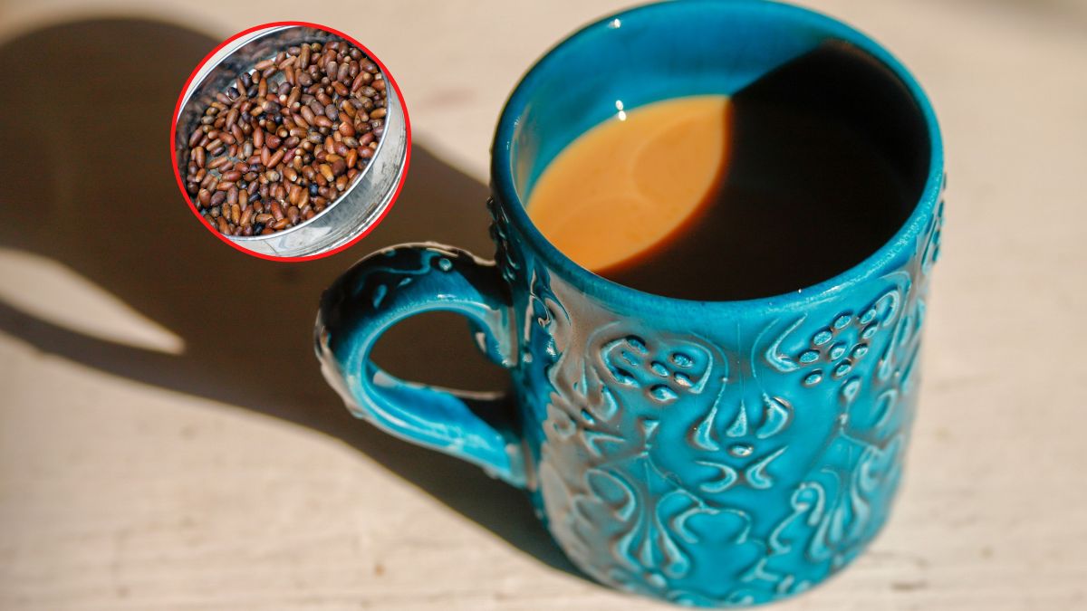 Żołędziówka nie zawiera kofeiny, jest za to cennym źródłem magnezu