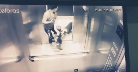 Pitbull zaatakował w windzie. Rzucił się na małego chłopca