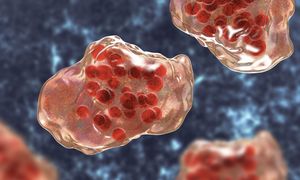 Kolejne przypadki odry na Podkarpaciu. Sanepid prowadzi dochodzenie
