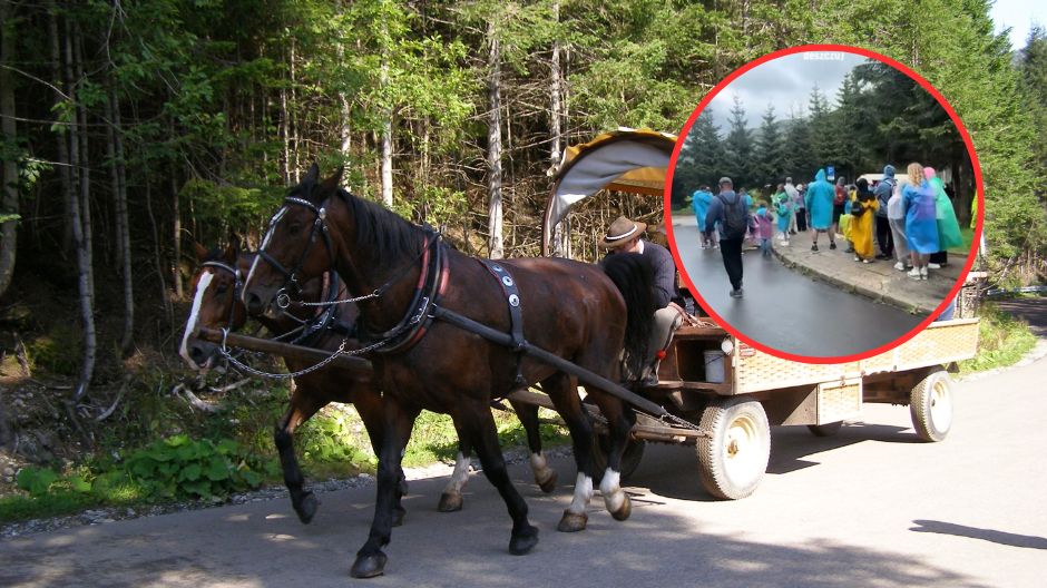 Widok kolejek do fasiągów rozwścieczył niektórych turystów