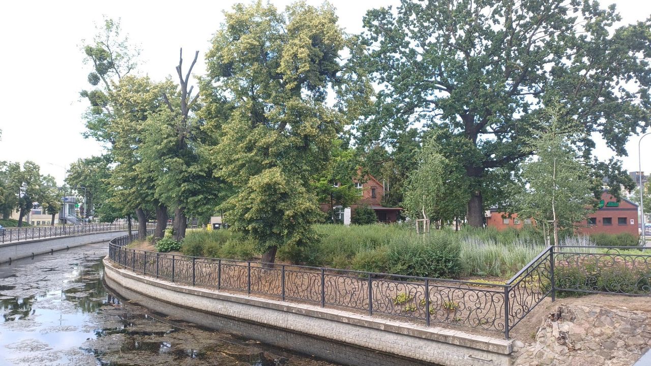 Pruszcz: Mieszkańcy posprzątają Kanał Raduni i jego brzegi. To okazja, by zrobić coś dobrego dla natury i tego pięknego miejsca