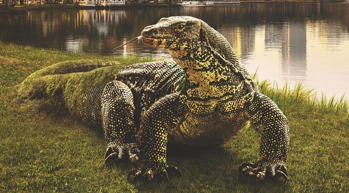 Azja: kulisy produkcji