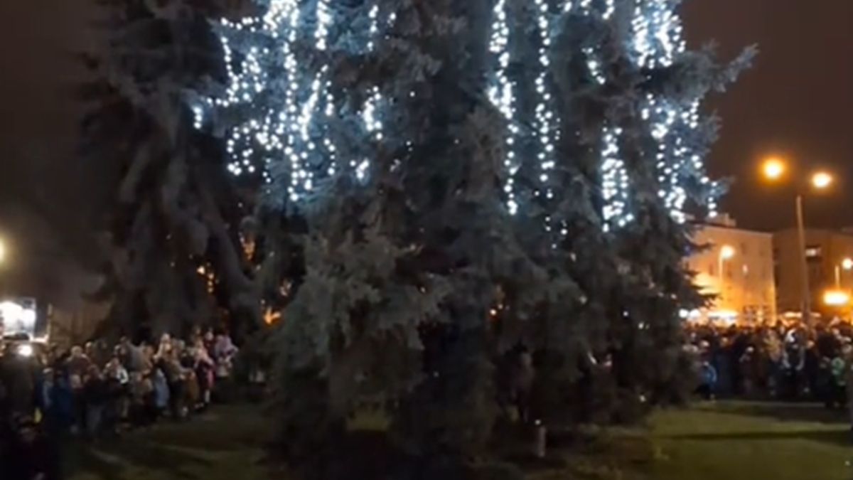 Odpalenie światełek na choince.