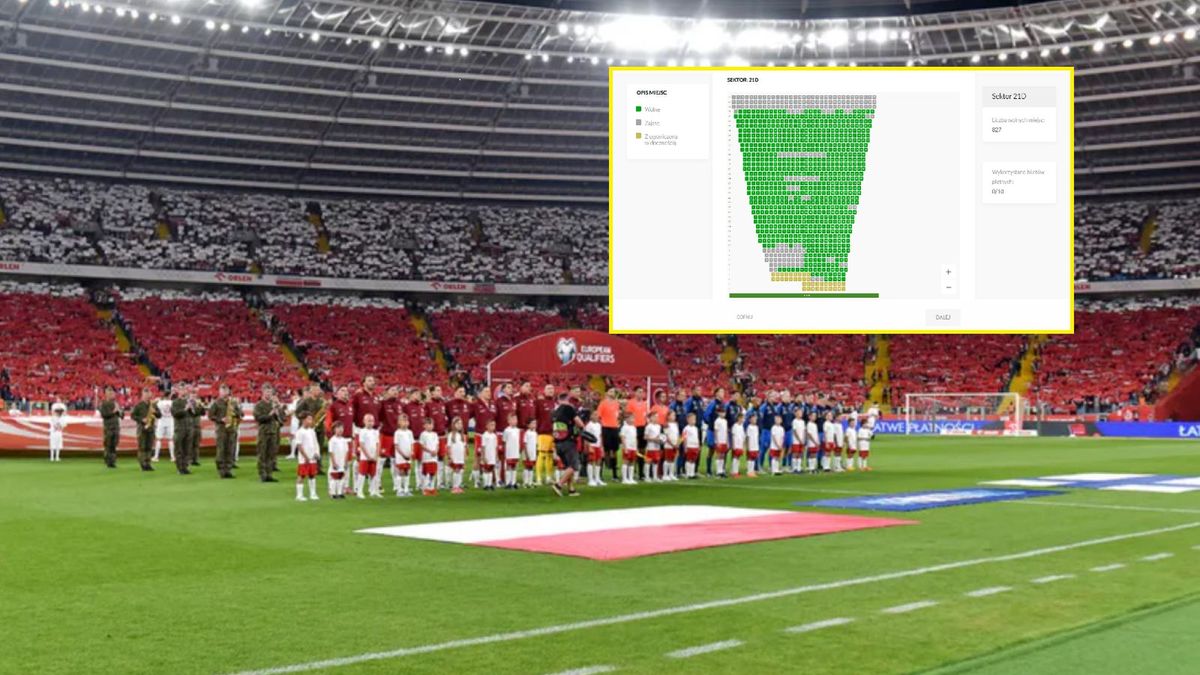 WP SportoweFakty / Krzysztof Porębski / bilety.laczynaspilka.pl / Na zdjęciu: reprezentacje Polski i Finlandii na Superauto.pl Stadionie Śląskim