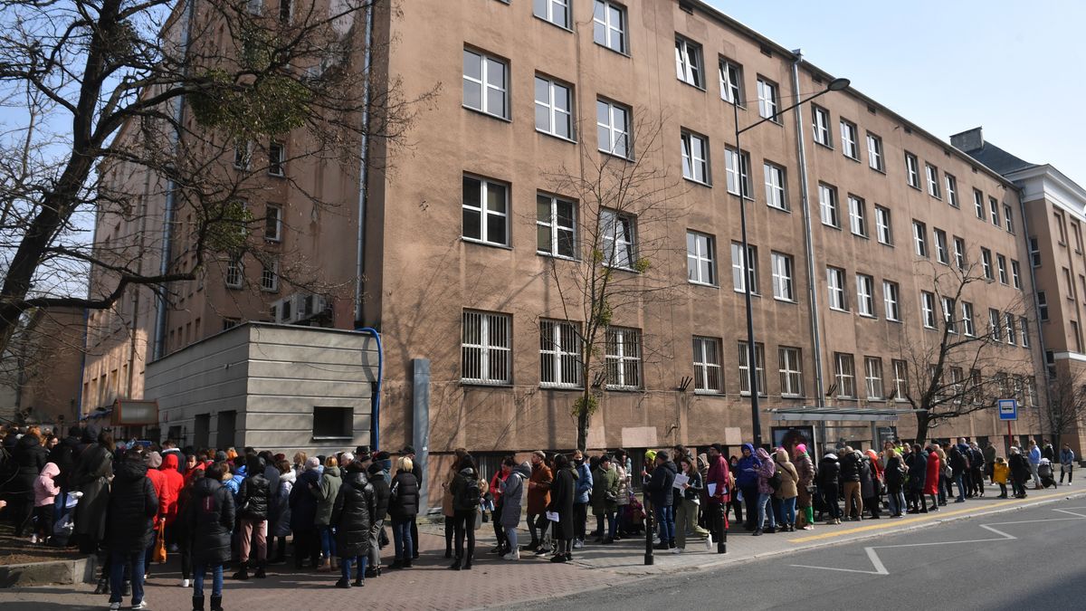 numer pesel, nadanie numer pesel, uchodźcy z ukrainy, wojna w ukrainie