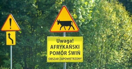 Koszmar na Lubelszczyźnie. Wprowadzono obszar zagrożony