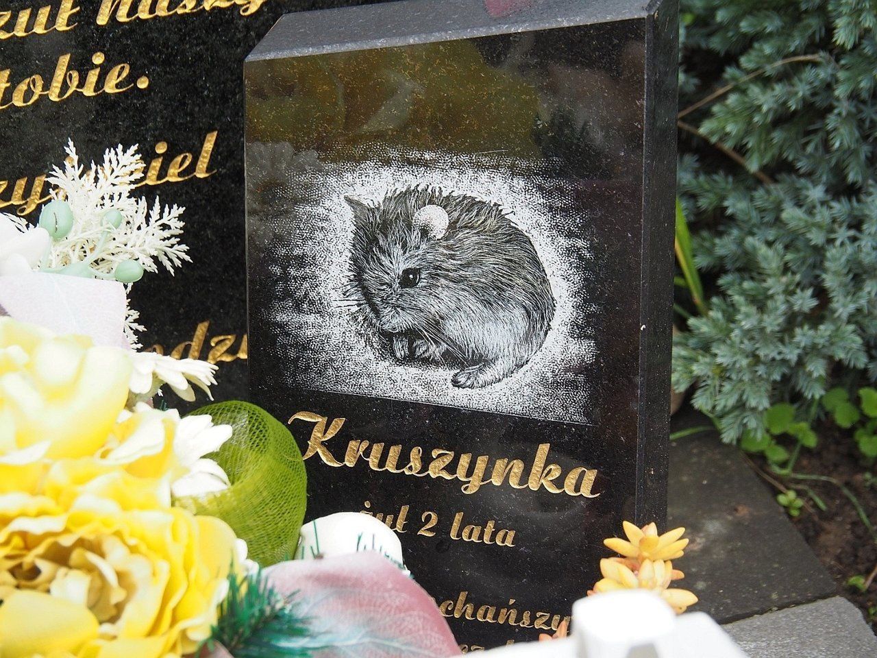 Łódź: Tu upamiętnisz zwierzęcych przyjaciół