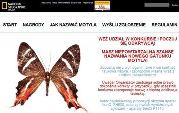Erateina sprytna dziewczyna to nazwa dla motyla odkrytego przez Polaków