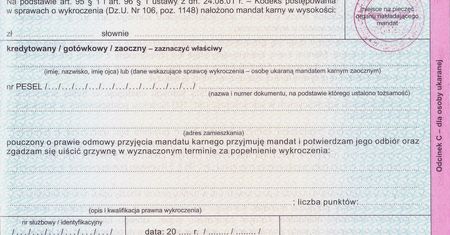 Posłowie będą płacić mandaty. Dziś Sejm głosuje nad zmianą przepisów