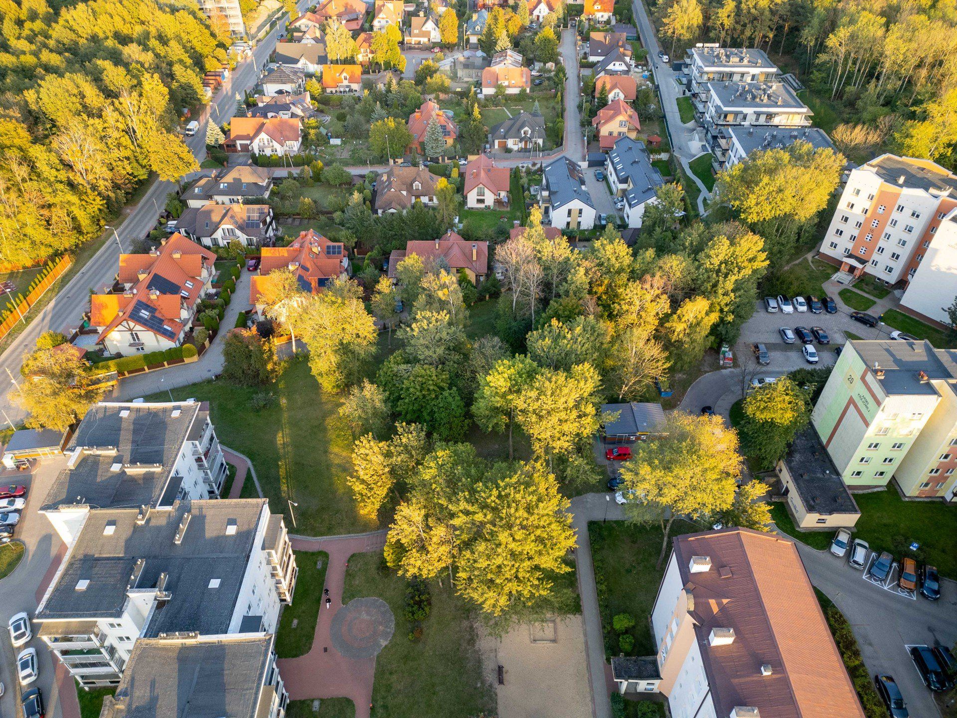 W lesie między Niską i Armii Krajowej powstanie leśny park kieszonkowy