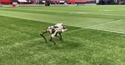 Robo-pies na stadionie. Jego obecność nie jest tu przypadkowa