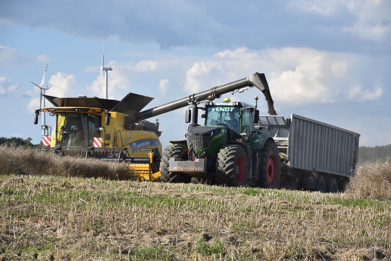 Rolnicy łapią każde okienko pogodowe. Żniwa 2025 to walka z czasem i wodą