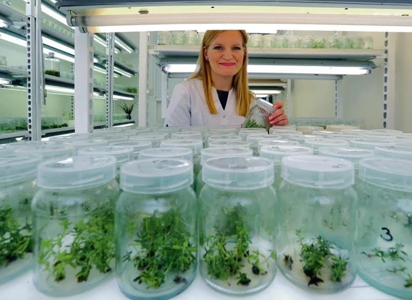 W Nowej Zelandii oczekiwania wobec producentów kosmetyków są bardzo wysokie