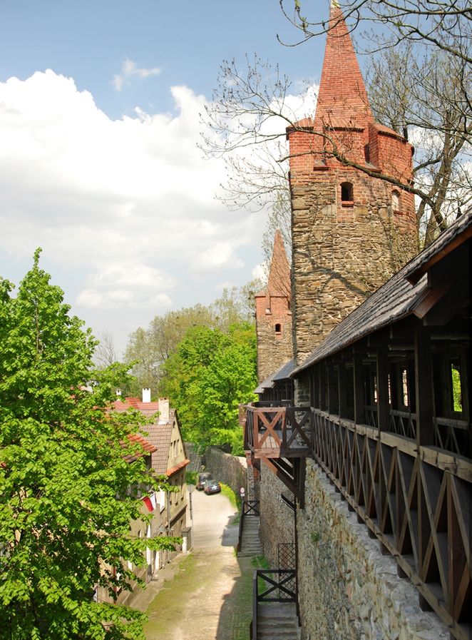 Obraz