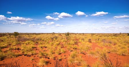 Ekstremalnie wysokie temperatury w Australii. Zapowiadany jest najgorętszy dzień w historii