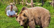 Niedźwiedzie z Bieszczad jednak przeżyją? Mamy komentarz wójta