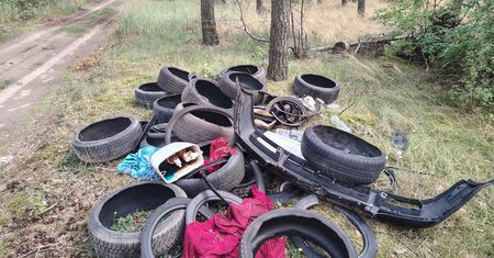 Leśnicy załamują ręce. Szukają "właściciela spłuczki do toalet"