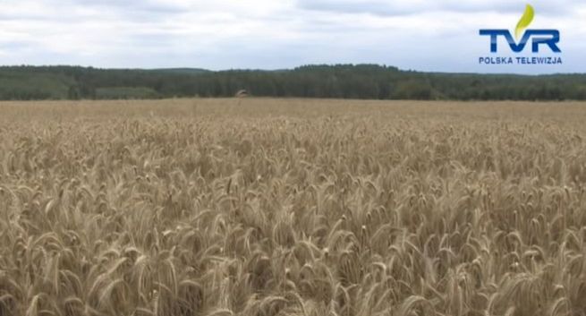 Ruszą dwie stacje TVR? „Narodowa, polska, chłopska telewizja”