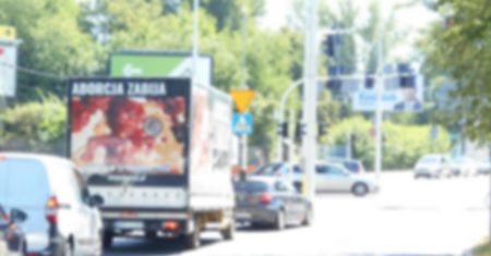 Aborcja w Polsce. Zamieszanie wokół drastycznych zdjęć martwych płodów. Nie można ich zakazać prawnie?