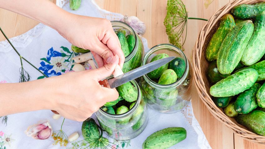 Przygotowania do kiszenia ogórków