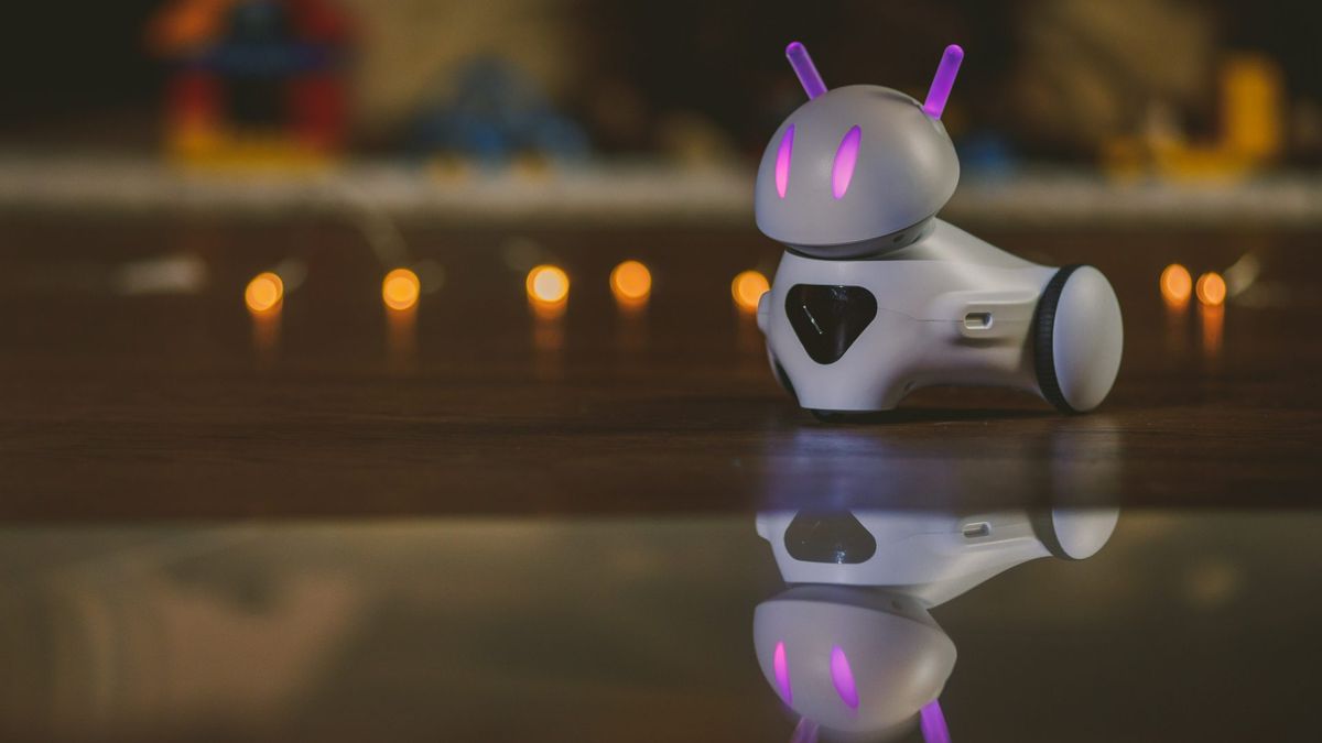 Robot w polskich przedszkolach i szkołach. Uczy dzieci programowania 1