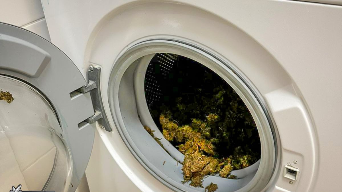 Nietypowe znalezisko w pralce