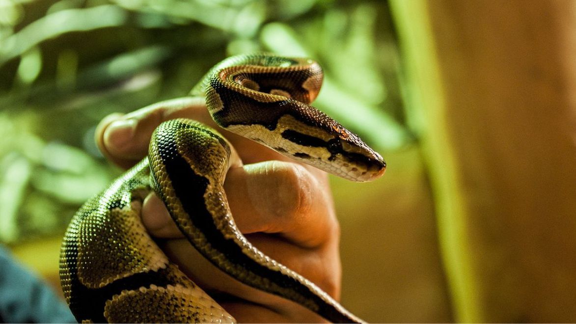 Zdjęcie ilustracyjne 