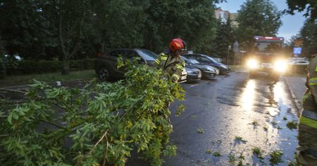 Nawet 90 km/h. Ostrzeżenia o wietrze, szczególnie w jednym województwie