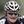 Andre Greipel