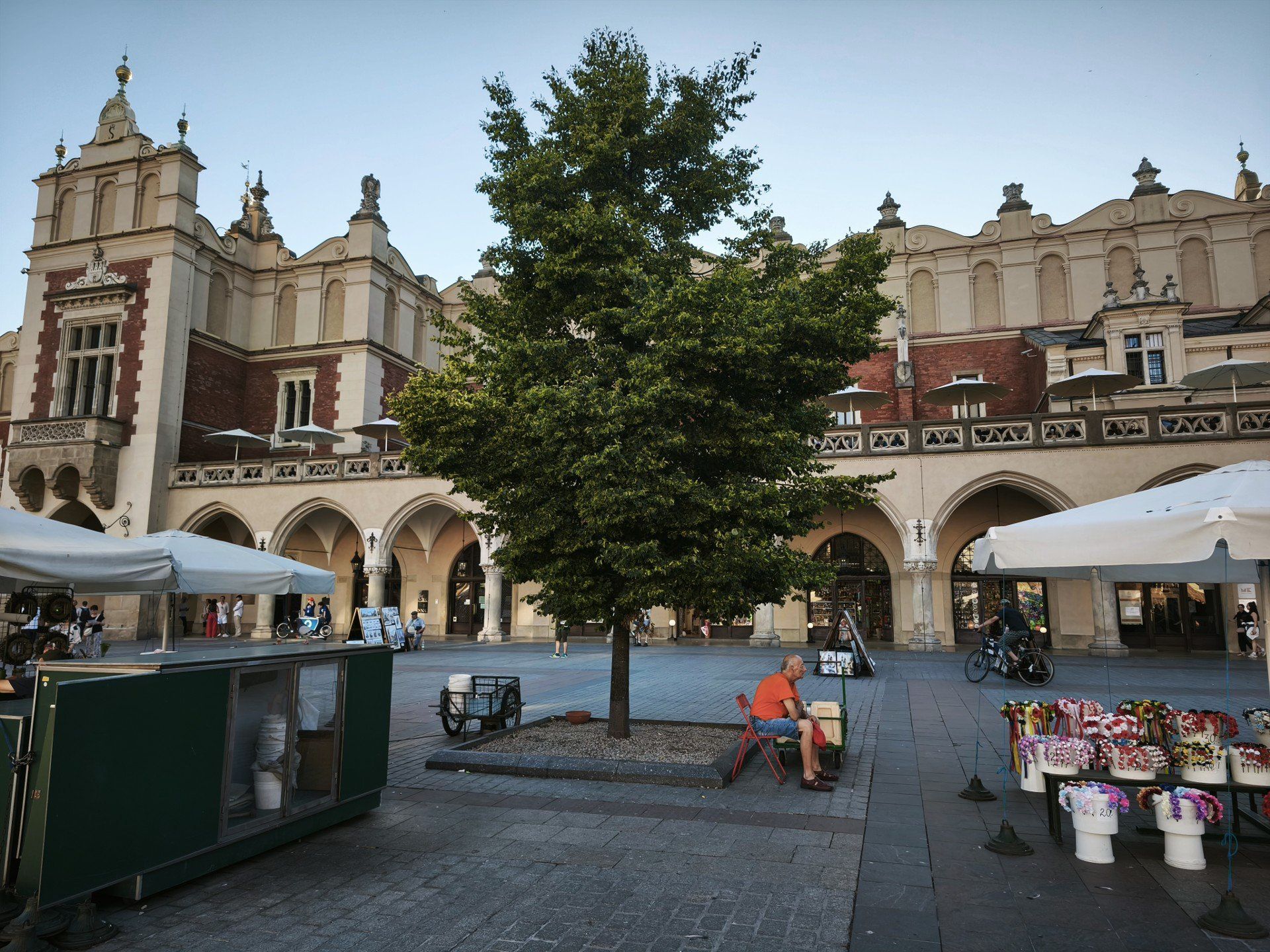 Już niedługo na Rynku Głównym w Krakowie drzew będzie więcej.