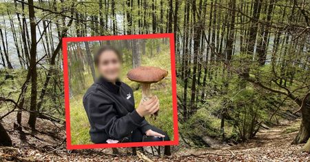 Gigant wśród traw. Leśna niespodzianka dla grzybiarki z Kartuz