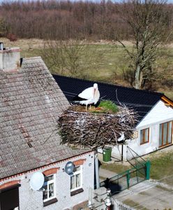 Pogoda na weekend. Na horyzoncie zmiana. Koniec wyżowego słońca