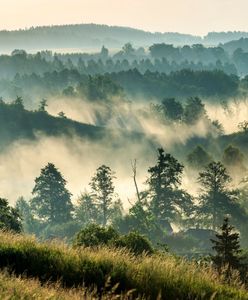 Kolejny region z bonem. Samorząd zdecydował, kiedy rusza pilotaż